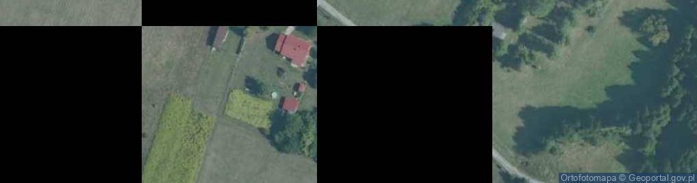 Zdjęcie satelitarne Dęba-Kolonia ul.