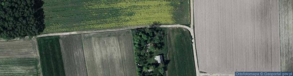 Zdjęcie satelitarne Dębiny ul.