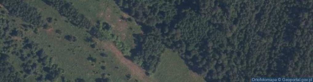 Zdjęcie satelitarne Dęborzeczka ul.