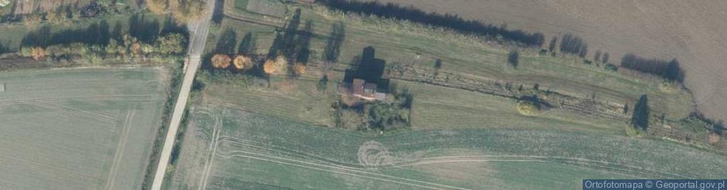 Zdjęcie satelitarne Dłoń ul.