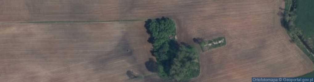 Zdjęcie satelitarne Długosze ul.