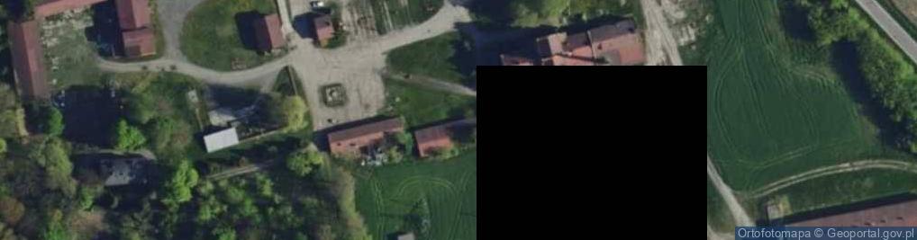 Zdjęcie satelitarne Dłutów ul.