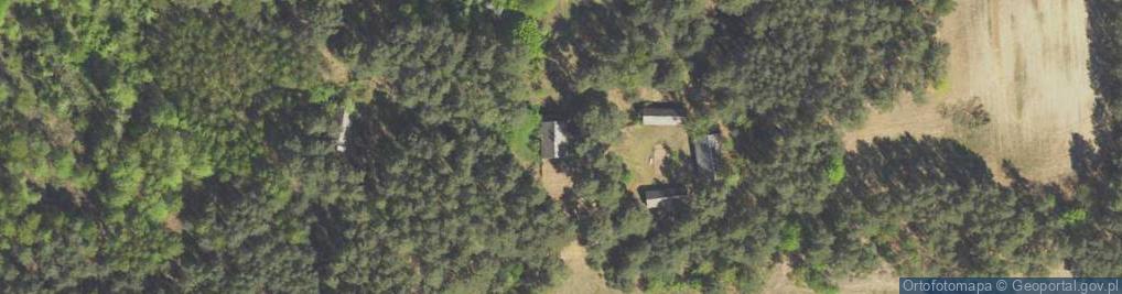 Zdjęcie satelitarne Dobry Las ul.