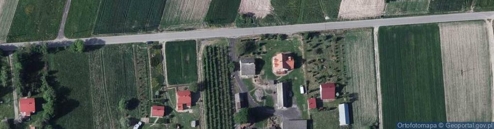 Zdjęcie satelitarne Dobryń-Kolonia ul.