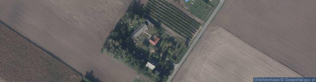 Zdjęcie satelitarne Dobużek-Kolonia ul.
