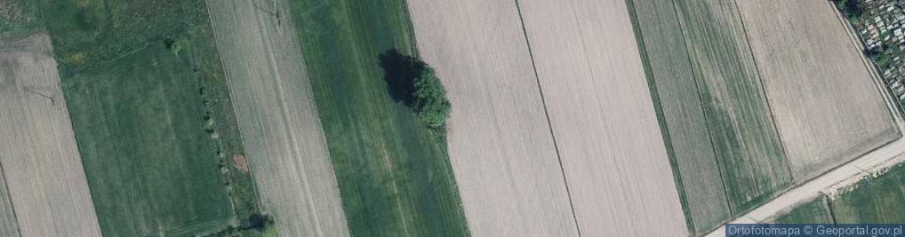 Zdjęcie satelitarne Dokudów Pierwszy ul.