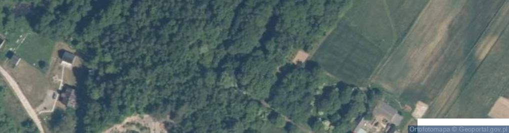 Zdjęcie satelitarne Doły Biskupie ul.