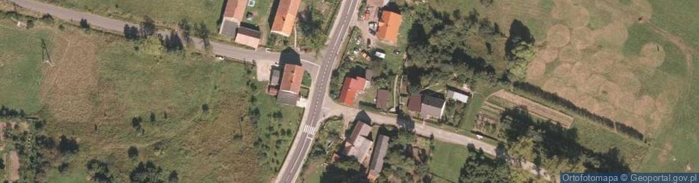Zdjęcie satelitarne Domanów ul.