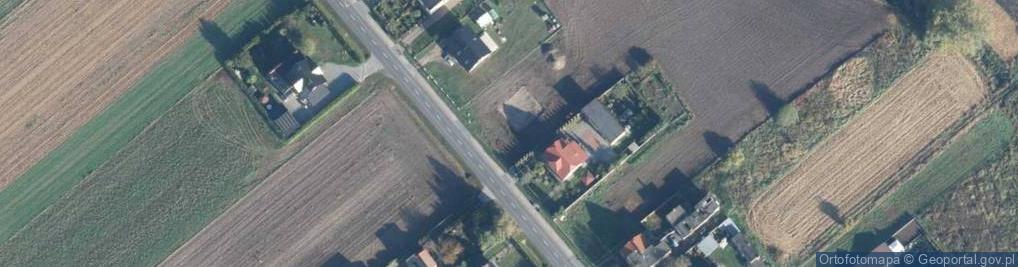 Zdjęcie satelitarne Dopiewska ul.