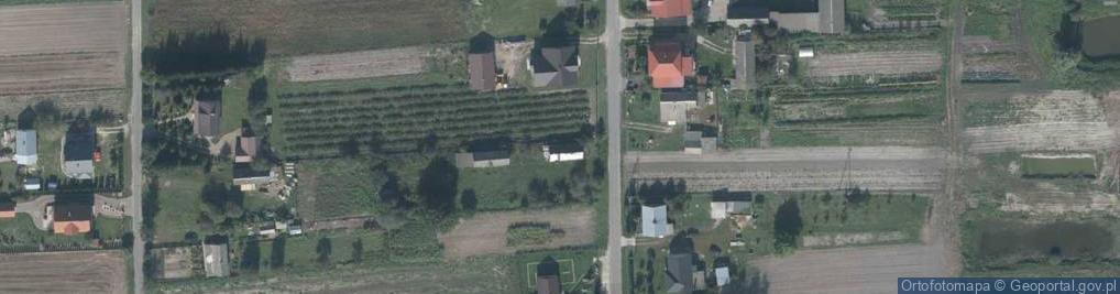 Zdjęcie satelitarne Domaniż ul.