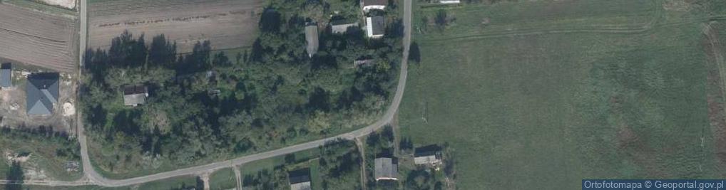 Zdjęcie satelitarne Domaniż ul.