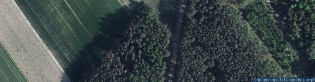 Zdjęcie satelitarne Dokudowska ul.