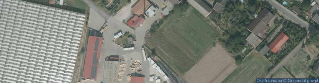 Zdjęcie satelitarne Drzewna ul.