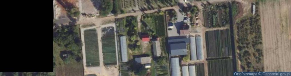 Zdjęcie satelitarne Dryja ul.