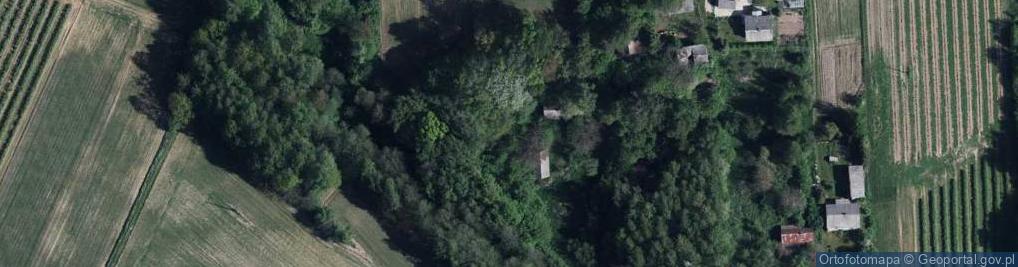 Zdjęcie satelitarne Drzewce-Kolonia ul.