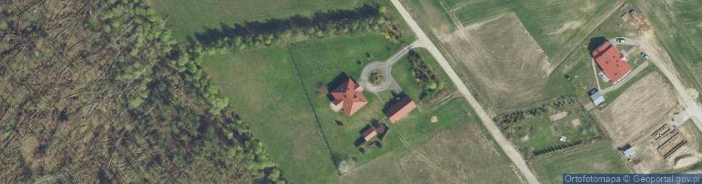 Zdjęcie satelitarne Drzewianowo ul.