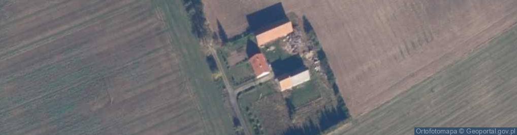 Zdjęcie satelitarne Drzewice ul.