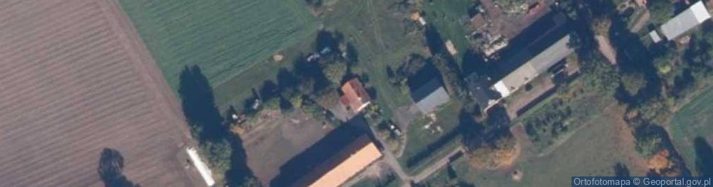 Zdjęcie satelitarne Drzewice ul.