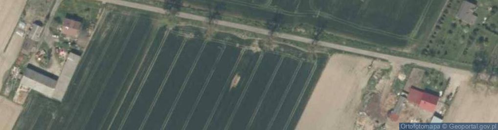Zdjęcie satelitarne Drzewoszki Wielkie ul.