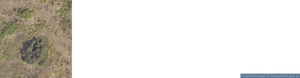 Zdjęcie satelitarne Drzymały ul.