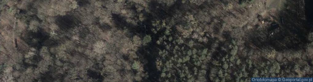 Zdjęcie satelitarne Droga Siedmiu Młynów ul.