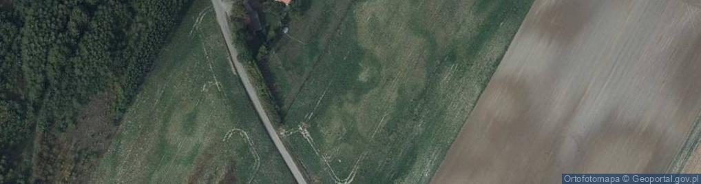 Zdjęcie satelitarne Dulsk-Spiczyny ul.