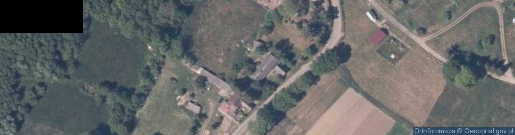 Zdjęcie satelitarne Dusin ul.