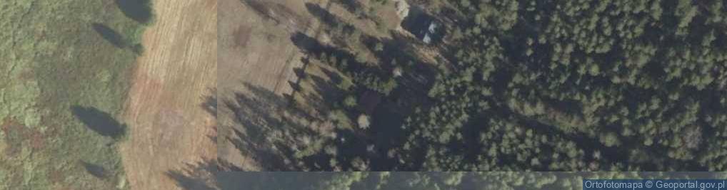 Zdjęcie satelitarne Dworzysk ul.