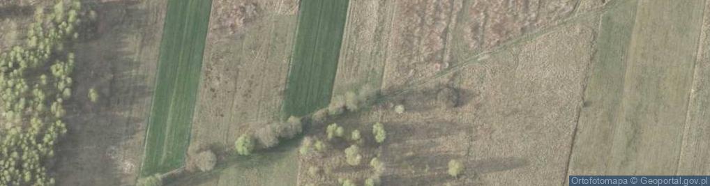 Zdjęcie satelitarne Dworska ul.