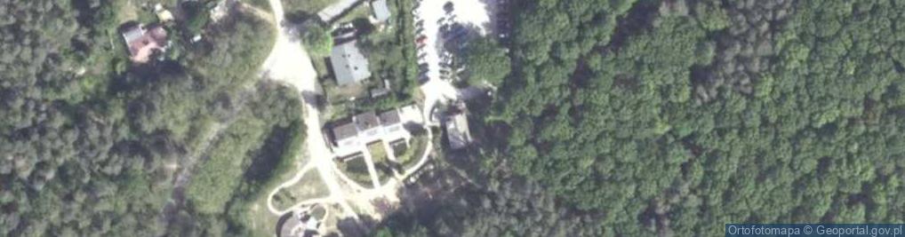 Zdjęcie satelitarne Dziewicza Góra ul.