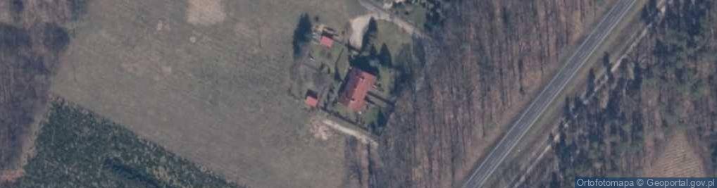 Zdjęcie satelitarne Dzicze ul.