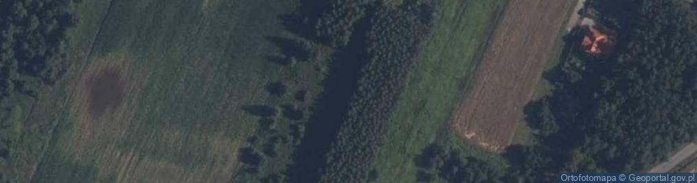 Zdjęcie satelitarne Dzikiej Róży ul.