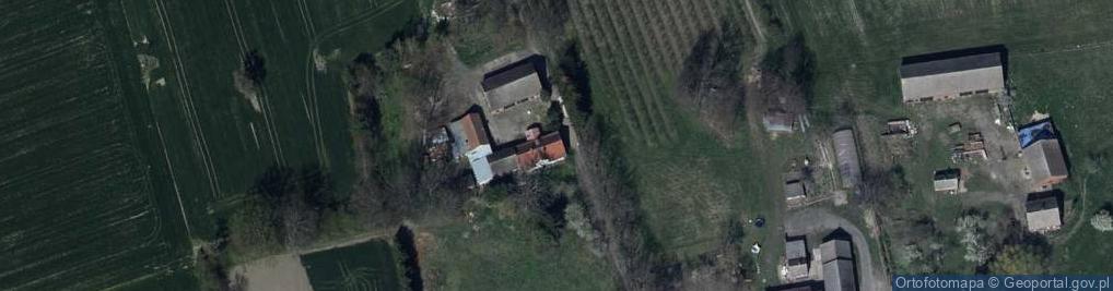 Zdjęcie satelitarne Dziadoszyce ul.