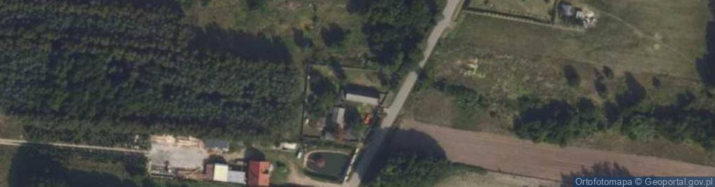 Zdjęcie satelitarne Dziadowice ul.