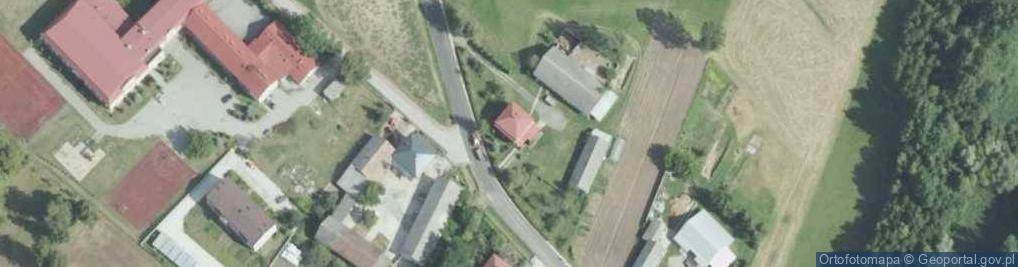 Zdjęcie satelitarne Dziaduszyce ul.