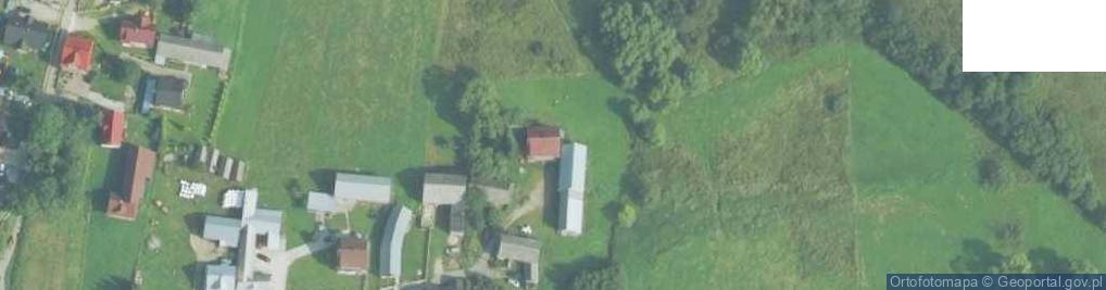 Zdjęcie satelitarne Dział ul.