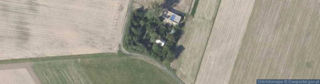 Zdjęcie satelitarne Działosze ul.