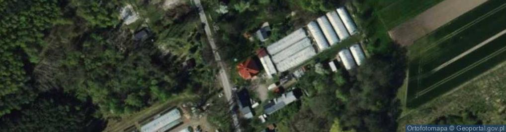 Zdjęcie satelitarne Dziektarzew ul.