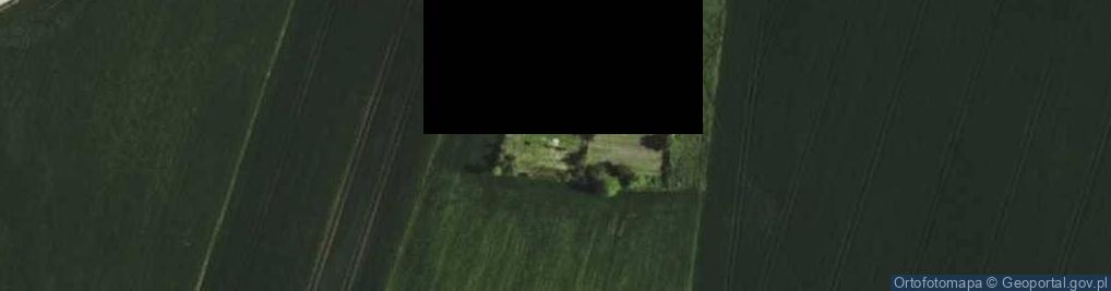 Zdjęcie satelitarne Dzielin ul.