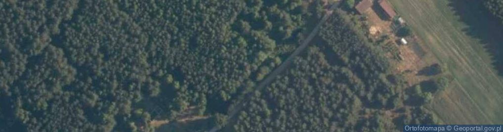 Zdjęcie satelitarne Dzielnica ul.
