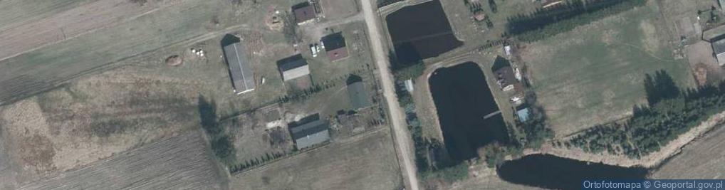 Zdjęcie satelitarne Dzielnik ul.