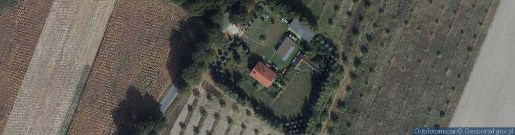 Zdjęcie satelitarne Dziemiony ul.