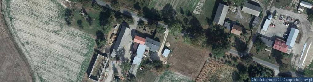 Zdjęcie satelitarne Dziemiony ul.