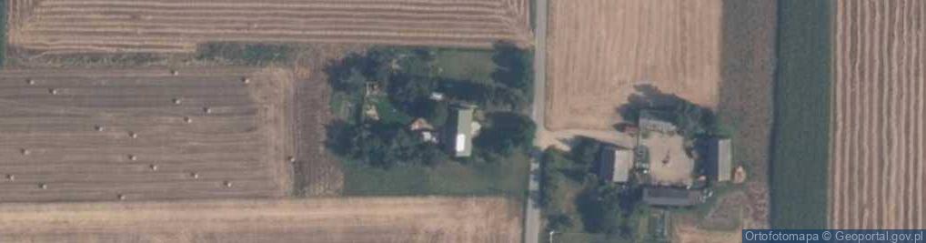 Zdjęcie satelitarne Dzierżanowo ul.