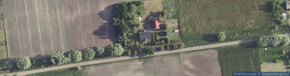 Zdjęcie satelitarne Dzierzążna ul.