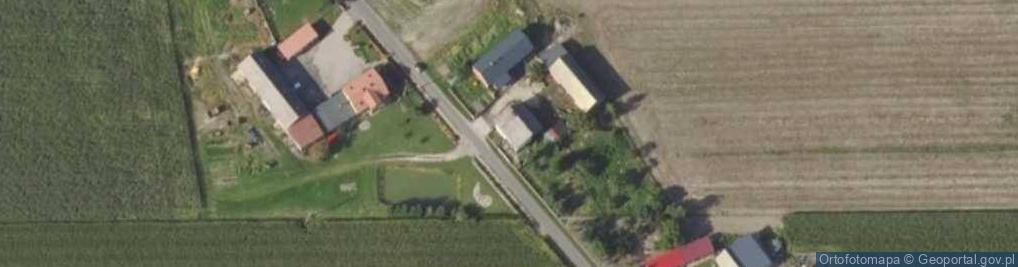 Zdjęcie satelitarne Dzierzbice ul.