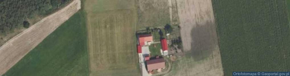 Zdjęcie satelitarne Dzierzbin-Kolonia ul.
