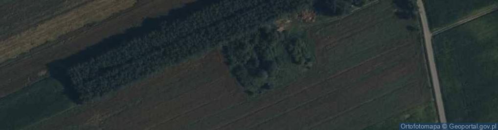 Zdjęcie satelitarne Dzierzby Włościańskie ul.