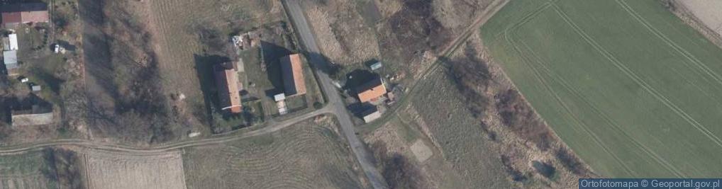 Zdjęcie satelitarne Dzietrzychowice ul.