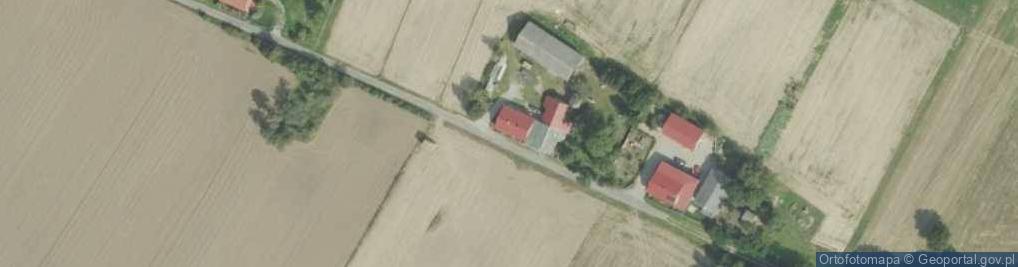 Zdjęcie satelitarne Dziewięcioły ul.